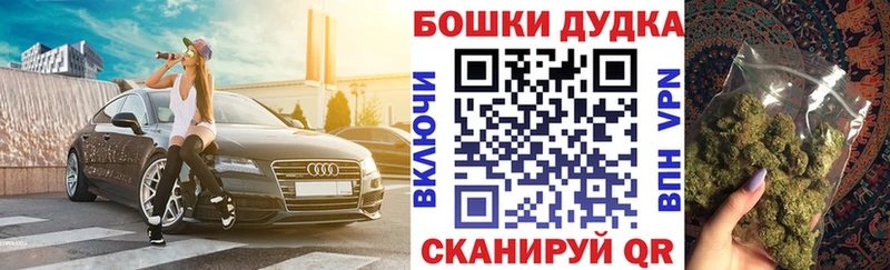 Как найти наркотики Шебекино Галлюциногенные грибы  Кокаин  ГАШИШ  Бошки Шишки 