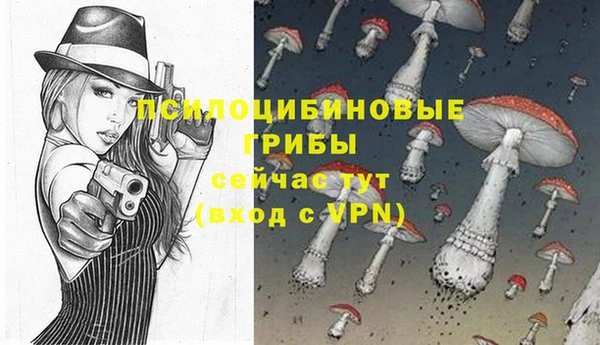 первитин Арсеньев