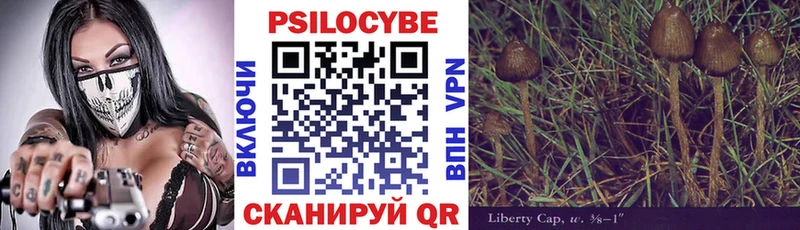 Псилоцибиновые грибы прущие грибы  Шебекино 